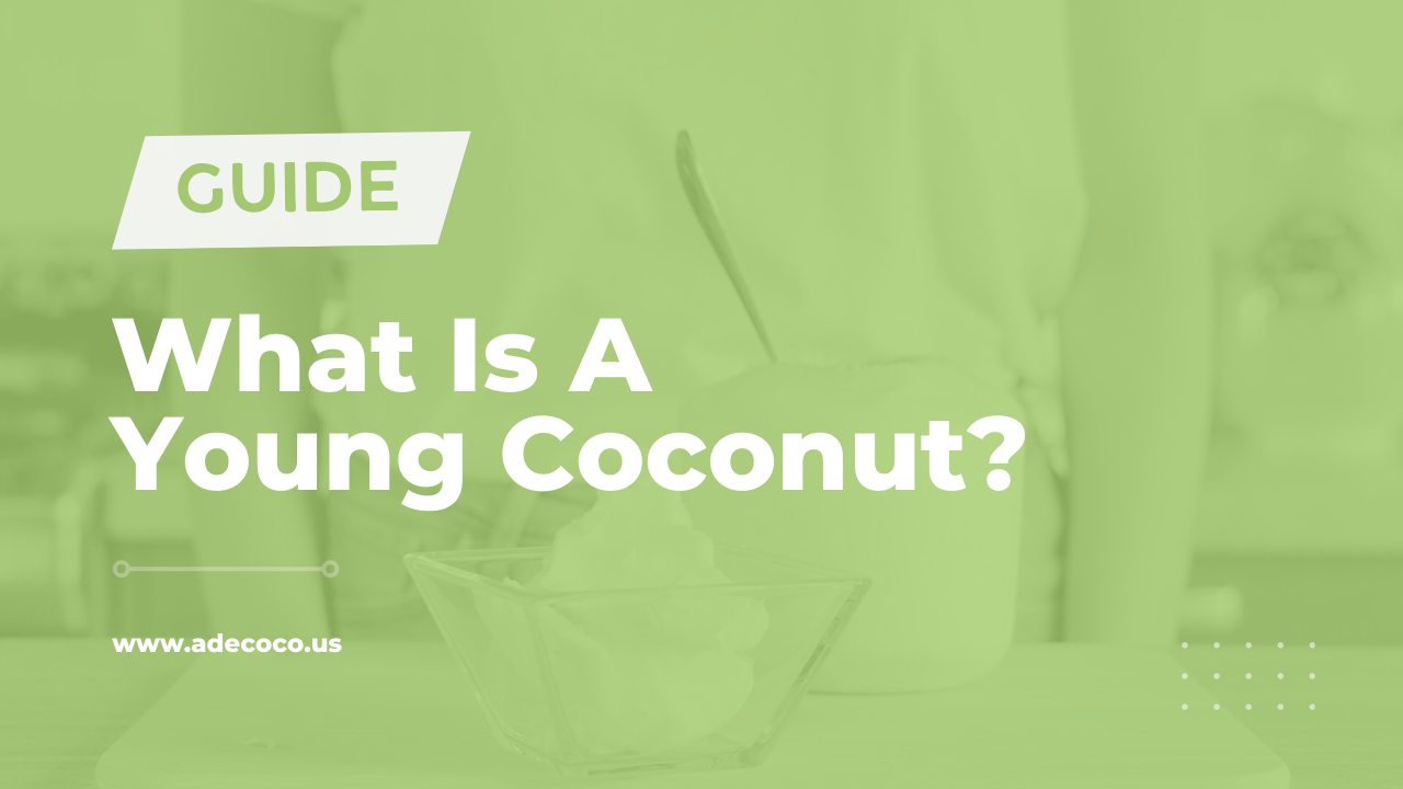 You are currently viewing What Is A Young Coconut? (2024)
