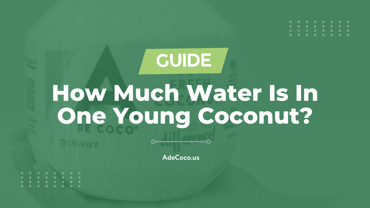 You are currently viewing How Much Water Is In One Young Coconut? (2024)