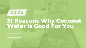 Read more about the article 31 Reasons Why Coconut Water Is Good For You (2024)