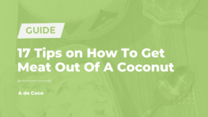 Read more about the article 17 Tips on How To Get Meat Out Of A Coconut (2024)