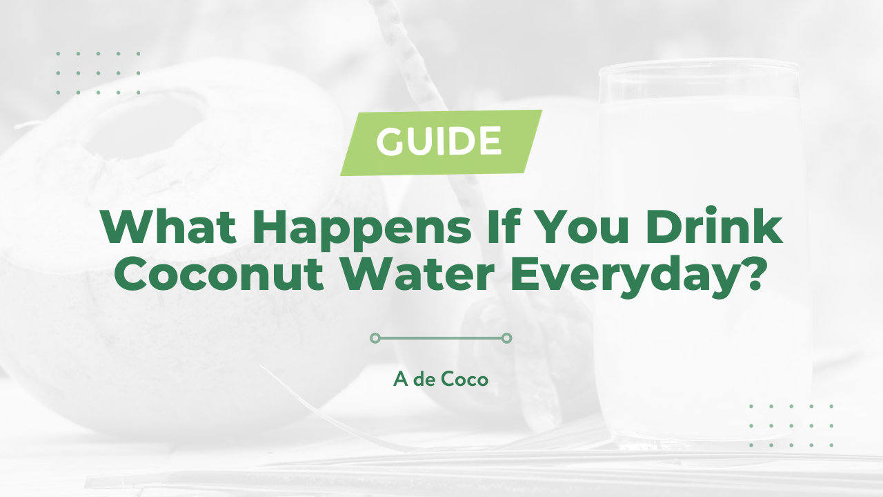 You are currently viewing What Happens If You Drink Coconut Water Everyday? (2024)