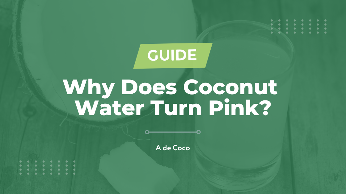 You are currently viewing Why Does Coconut Water Turn Pink? (2024)