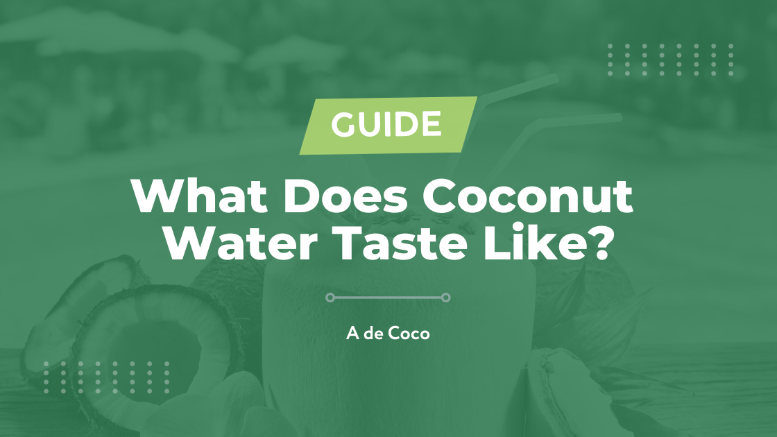 You are currently viewing What Does Coconut Water Taste Like? (2024)