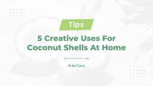 Read more about the article 5 Creative Uses For Coconut Shells At Home