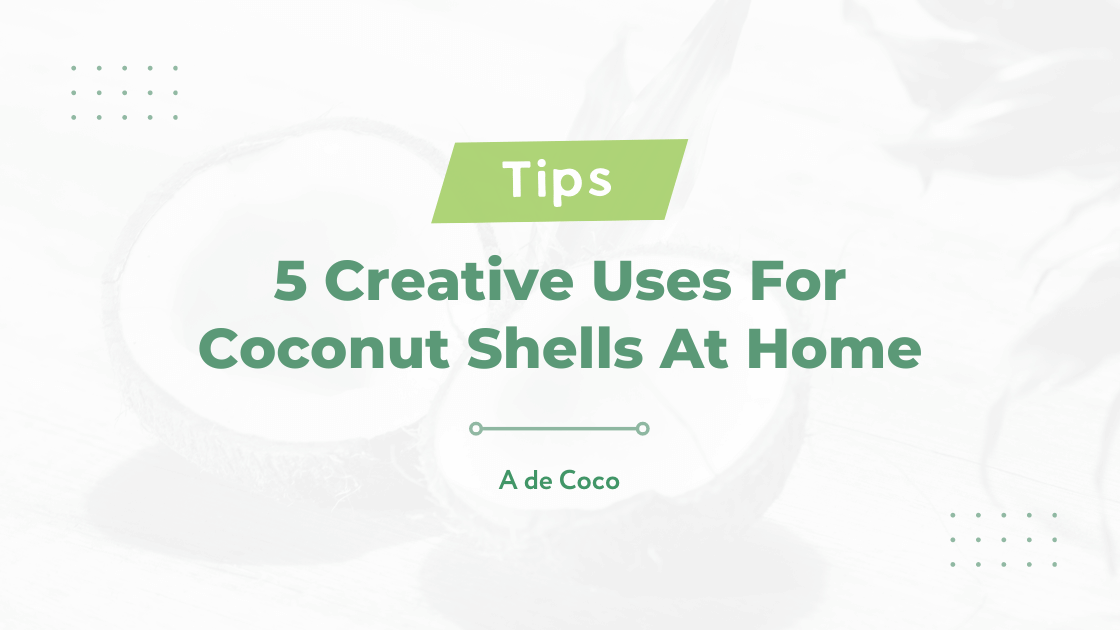 You are currently viewing 5 Creative Uses For Coconut Shells At Home
