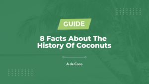 Read more about the article 8 Facts About The History Of Coconuts
