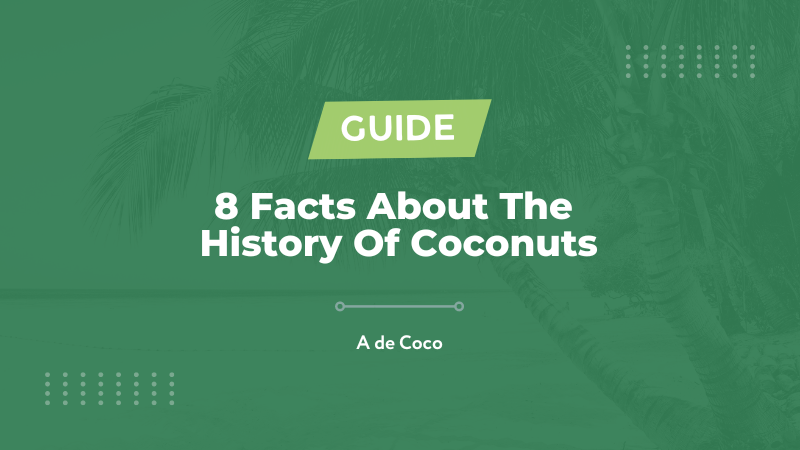 8 Facts About The History Of Coconuts