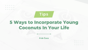 Read more about the article 5 Ways to Incorporate Young Coconuts In Your Life