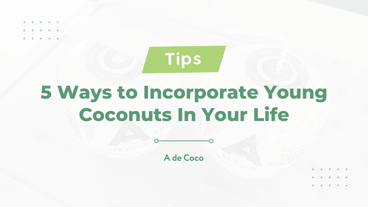 Ways to Incorporate Young Coconuts In Your Life
